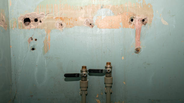 Best Water damage restoration near me  in Harlem, FL